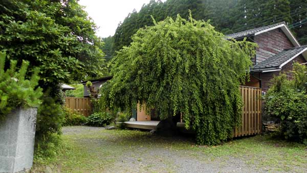 美藍窯 ギャラリー